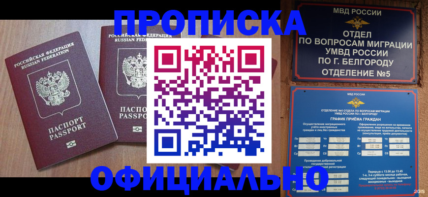 найти адрес прописки в Нерчинске